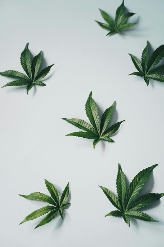 10 Exciting Ways to Enjoy CBD